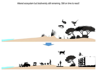 Altered ecosystem but biodiversity still remaining. Still on time to react!
 