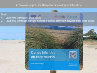 An European project + the Metropolitan Administration of Barcelona
Goals:
1. Learn how to construct urban dunes
2. Learn how to manage the huge demand of cultural ecosystem services of the urban dunes.
 