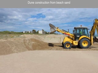 Dune construction from beach sand
 