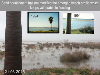 Sand nourishment has not modified the emerged beach profile which
keeps vulnerable to flooding
 