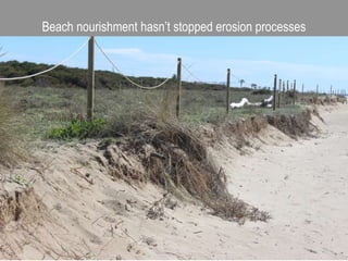 Beach nourishment hasn’t stopped erosion processes
 
