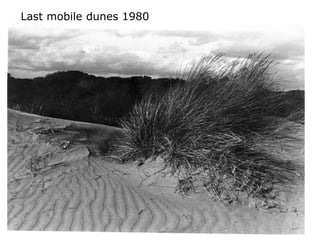 Last mobile dunes 1980
 