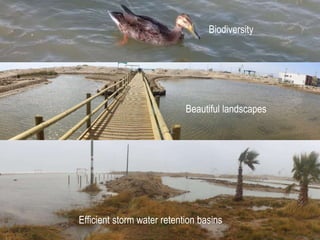 Efficient storm water retention basins
Beautiful landscapes
Biodiversity
 