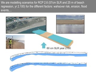 We are modelling scenarios for RCP 2.6 (57cm SLR and 25 m of beach
regression, yr 2.100) for the different factors: wahsover risk, erosion, flood
events,...
 