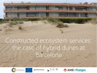 Constructed ecosystem services:
the case of hybrid dunes at
Barcelona
 