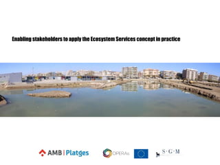 Enabling stakeholders to apply the Ecosystem Services concept in practice
 