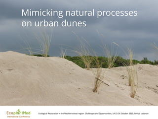 Ecological Restoration in the Mediterranean region: Challenges and Opportunities, 14-15-16 October 2015, Beirut, Lebanon
Mimicking natural processes
on urban dunes
 
