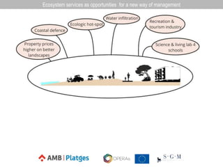 Ecosystem services as opportunities for a new way of management
 