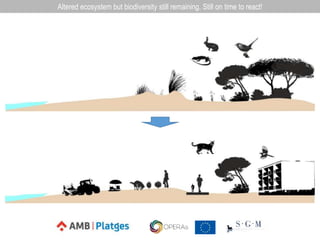Altered ecosystem but biodiversity still remaining. Still on time to react!
 