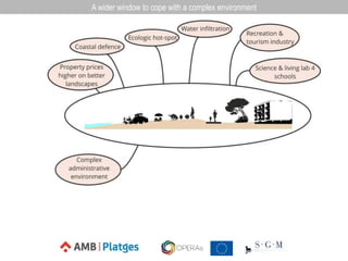 A wider window to cope with a complex environment
 