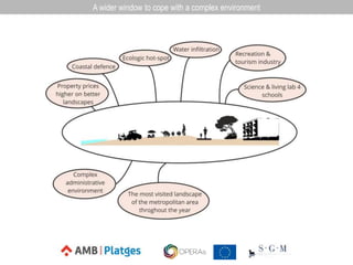 A wider window to cope with a complex environment
 
