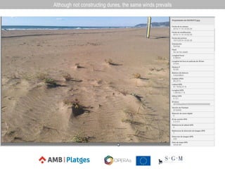 Although not constructing dunes, the same winds prevails
 