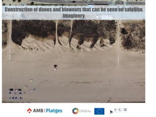 Construction of dunes and blowouts that can be seen on satellite
imaginery
 