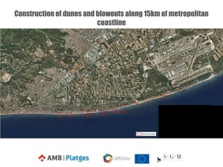 Construction of dunes and blowouts along 15km of metropolitan
coastline
 