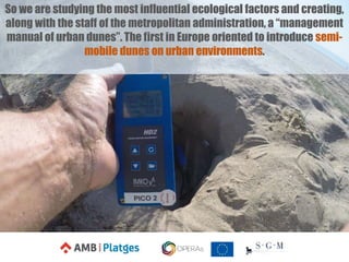 So we are studying the most influential ecological factors and creating,
along with the staff of the metropolitan administration, a “management
manual of urban dunes”. The first in Europe oriented to introduce semi-
mobile dunes on urban environments.
 