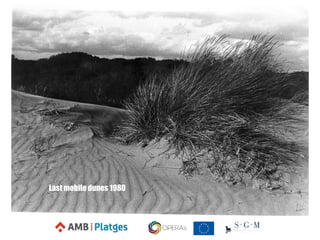 Last mobile dunes 1980
 