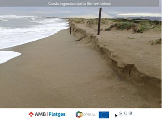 Coastal regression due to the new harbour
 