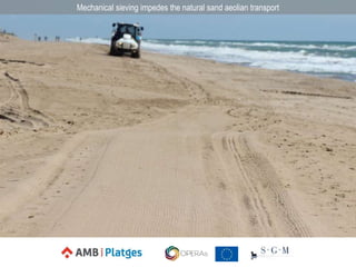 Mechanical sieving impedes the natural sand aeolian transport
 