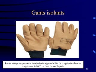 40
Gants isolants
Portés lorsqu’une personne manipule des tiges et boites de congélation dans un
congélateur à -80°C ou dans l’azote liquide.
 