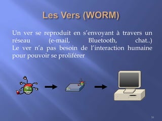 Un ver se reproduit en s’envoyant à travers un
réseau
(e-mail,
Bluetooth,
chat..)
Le ver n’a pas besoin de l’interaction humaine
pour pouvoir se proliférer

16

 