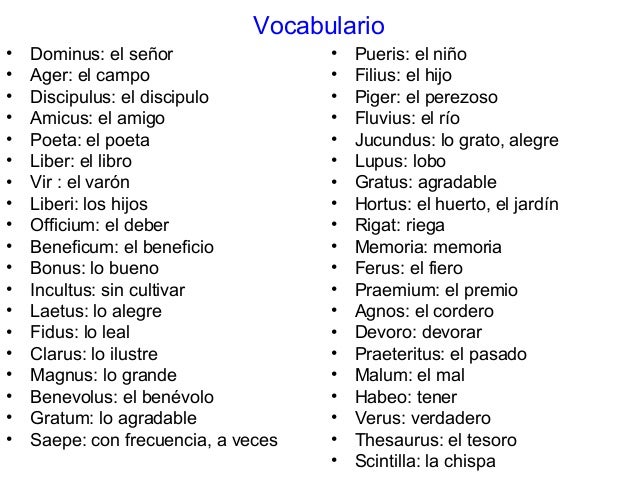 Quinta Declinacion Latin Frases 33