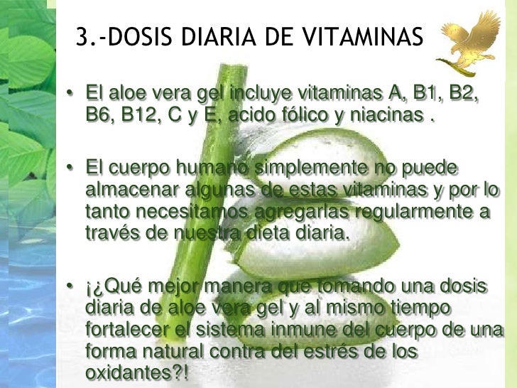 Las diez razones mas importantes para tomar sábila Las diez razones mas importantes para tomar sábila