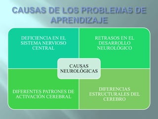 CAUSAS DE LOS PROBLEMAS DE APRENDIZAJE