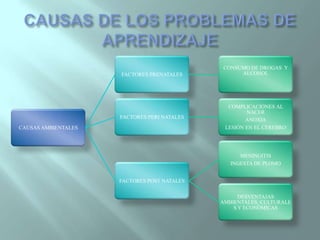 CAUSAS DE LOS PROBLEMAS DE APRENDIZAJE
