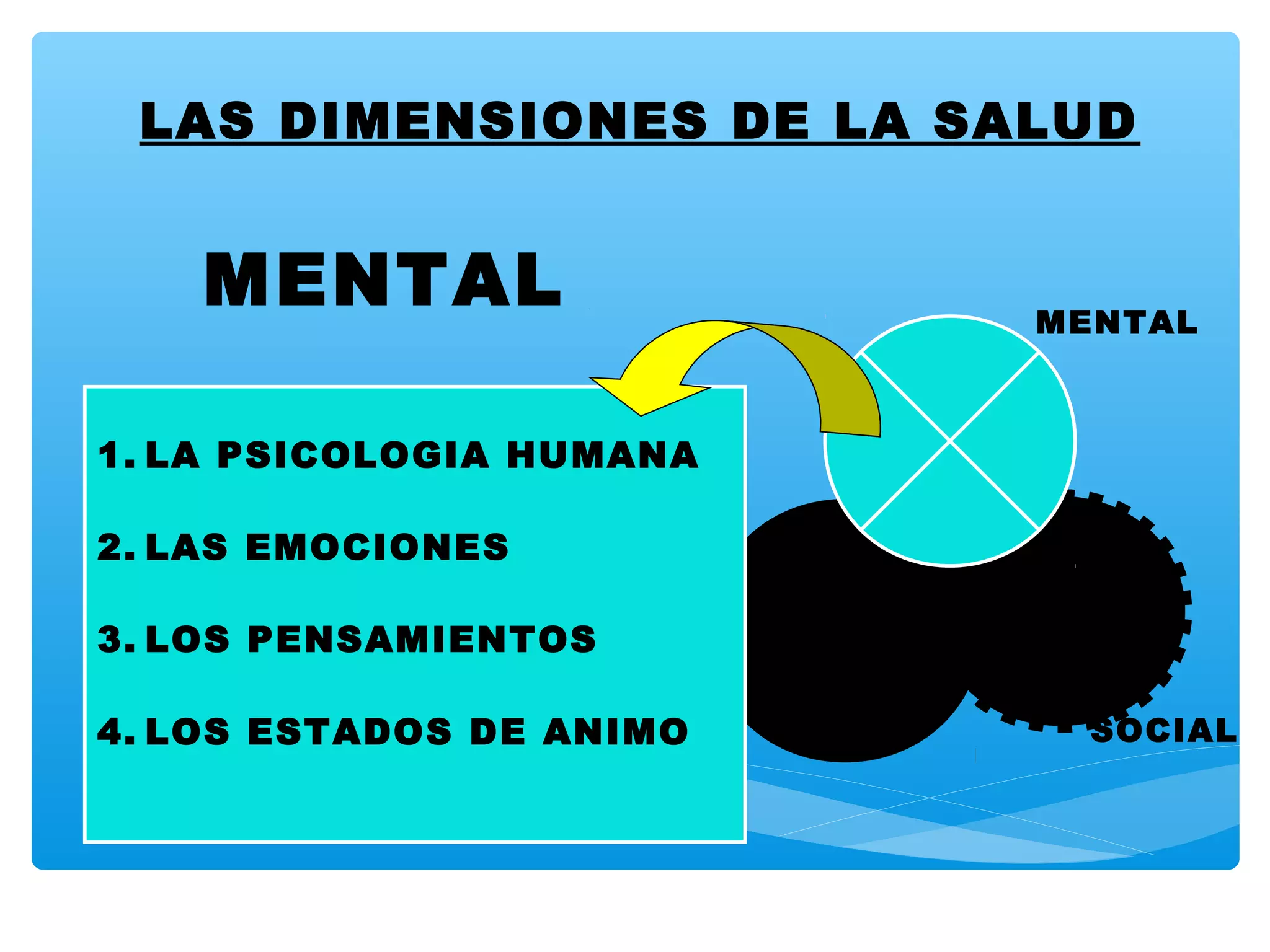 Las Dimensiones De La Salud