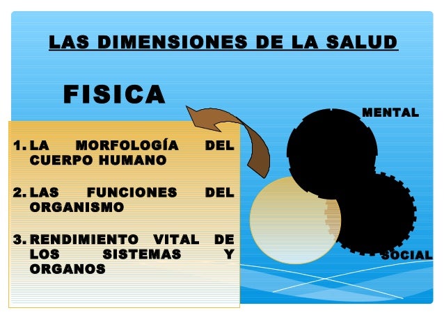 Las Dimensiones De La Salud