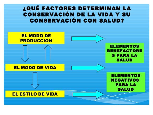 Las Dimensiones De La Salud