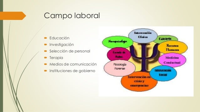 Las disciplinas de las ciencias sociales