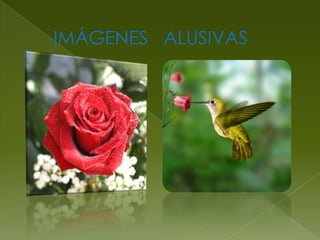     IMÁGENES   ALUSIVAS 
