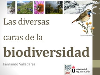 Conferencia: Las diversas caras de la biodiversidad
