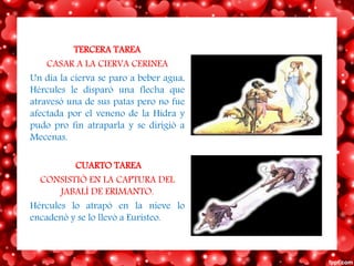 TERCERA TAREA
CASAR A LA CIERVA CERINEA
Un día la cierva se paro a beber agua,
Hércules le disparó una flecha que
atravesó una de sus patas pero no fue
afectada por el veneno de la Hidra y
pudo pro fin atraparla y se dirigió a
Mecenas.
CUARTO TAREA
CONSISTIÓ EN LA CAPTURA DEL
JABALÍ DE ERIMANTO.
Hércules lo atrapó en la nieve lo
encadenó y se lo llevó a Euristeo.
 