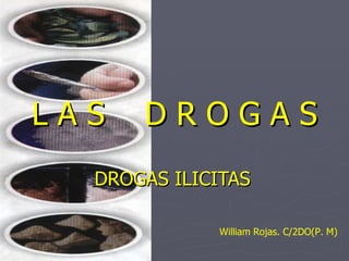 L A S  D R O G A S DROGAS ILICITAS William Rojas. C/2DO(P. M) 
