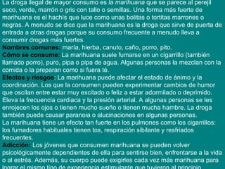 La droga ilegal de mayor consumo es  la marihuana  que se parece al perejil seco, verde, marrón o gris con tallo o semillas. Una forma más fuerte de marihuana es el hachís que luce como unas bolitas o tortitas marrones o negras. A menudo se dice que la marihuana es la droga que sirve de puerta de entrada a otras drogas porque su consumo frecuente a menudo lleva a consumir drogas más fuertes. Nombres comunes:   maría, hierba, canuto, caño, porro, pito. Cómo se consume:   La marihuana suele fumarse en un cigarrillo (también llamado porro), puro, pipa o pipa de agua. Algunas personas la mezclan con la comida o la preparan como si fuera té. Efectos y riesgos : La marihuana puede afectar el estado de ánimo y la coordinación. Los que la consumen pueden experimentar cambios de humor que oscilan entre estar muy excitado o feliz a estar adormilado o deprimido.  Eleva la frecuencia cardiaca y la presión arterial. A algunas personas se les enrojecen los ojos o tienen mucho sueño o tienen mucha hambre. La droga también puede causar paranoia o alucinaciones en algunas personas.  La marihuana tiene un efecto tan fuerte en los pulmones como los cigarrillos: los fumadores habituales tienen tos, respiración sibilante y resfriados frecuentes.   Adicción:   Los jóvenes que consumen marihuana se pueden volver psicológicamente dependientes de ella para sentirse bien, enfrentarse a la vida o al estrés. Además, su cuerpo puede exigirles cada vez más marihuana para lograr el mismo tipo de experiencia estimulante que tuvieron al principio. 