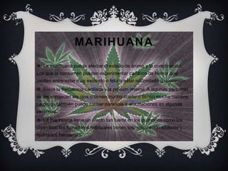 marihuanaLa marihuana puede afectar el estado de ánimo y la coordinación. Los que la consumen pueden experimentar cambios de humor que oscilan entre estar muy excitado o feliz a estar adormilado o deprimido.Eleva la frecuencia cardiaca y la presión arterial. A algunas personas se les enrojecen los ojos o tienen mucho sueño o tienen mucha hambre. La droga también puede causar paranoia o alucinaciones en algunas personas.La marihuana tiene un efecto tan fuerte en los pulmones como los cigarrillos: los fumadores habituales tienen tos, respiración sibilante y resfriados frecuentes.