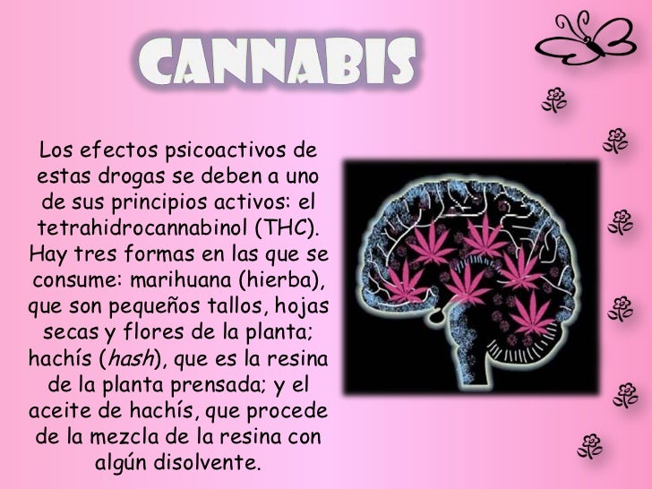Dejar fumar al médico las revocaciones