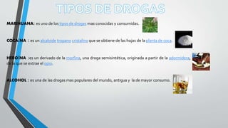 MARIHUANA: es uno de los tipos de drogas mas conocidas y consumidas.
COCAÍNA : es un alcaloide tropano cristalino que se obtiene de las hojas de la planta de coca.
HEROÍNA :es un derivado de la morfina, una droga semisintética, originada a partir de la adormidera,
de la que se extrae el opio.
ALCOHOL : es una de las drogas mas populares del mundo, antigua y la de mayor consumo.
 