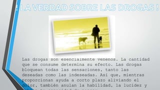 Las drogas son esencialmente venenos. La cantidad
que se consume determina su efecto. Las drogas
bloquean todas las sensaciones, tanto las
deseadas como las indeseadas. Así que, mientras
proporcionan ayuda a corto plazo aliviando el
dolor, también anulan la habilidad, la lucidez y
 