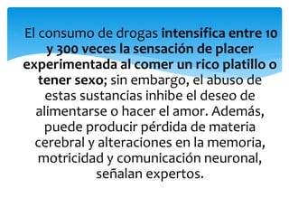  El consumo de drogas intensifica entre 10
y 300 veces la sensación de placer
experimentada al comer un rico platillo o
tener sexo; sin embargo, el abuso de
estas sustancias inhibe el deseo de
alimentarse o hacer el amor. Además,
puede producir pérdida de materia
cerebral y alteraciones en la memoria,
motricidad y comunicación neuronal,
señalan expertos.
 