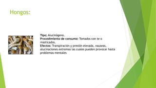 Hongos:
Tipo: Alucinógeno.
Procedimiento de consumo: Tomados con te o
masticados.
Efectos: Transpiración y presión elevada, nauseas,
alucinaciones extremas las cuales pueden provocar hasta
problemas mentales
 