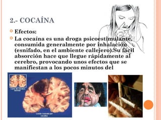 2.- COCAÍNA
 Efectos:
 La cocaína es una droga psicoestimulante,
consumida generalmente por inhalación
(esnifado, en el ambiente callejero).Su fácil
absorción hace que llegue rápidamente al
cerebro, provocando unos efectos que se
manifiestan a los pocos minutos del
consumo.
 