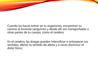 Cuando las haces entrar en tu organismo, encuentran su
camino al torrente sanguíneo y desde allí son transportadas a
otras partes de tu cuerpo, como el cerebro.
En el cerebro, las drogas pueden intensificar o entorpecer tus
sentidos, alterar tu sentido de alerta y a veces disminuir el
dolor físico.
 