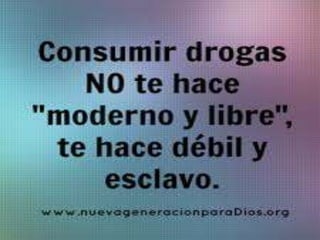 Las drogas angie y brenda