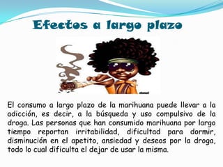 Efectos a largo plazoEl consumo a largo plazo de la marihuana puede llevar a la adicción, es decir, a la búsqueda y uso compulsivo de la droga. Las personas que han consumido marihuana por largo tiempo reportan irritabilidad, dificultad para dormir, disminución en el apetito, ansiedad y deseos por la droga, todo lo cual dificulta el dejar de usar la misma.