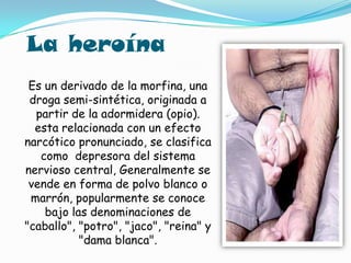 La heroína Es un derivado de la morfina, una droga semi-sintética, originada a partir de la adormidera (opio). esta relacionada con un efecto narcótico pronunciado, se clasifica como  depresora del sistema nervioso central, Generalmente se vende en forma de polvo blanco o marrón, popularmente se conoce bajo las denominaciones de "caballo", "potro", "jaco", "reina" y "dama blanca".