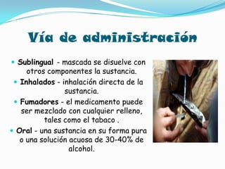 Vía de administración Sublingual - mascada se disuelve con otros componentes la sustancia. Inhalados- inhalación directa de la sustancia.Fumadores - el medicamento puede ser mezclado con cualquier relleno, tales como el tabaco .Oral - una sustancia en su forma pura o una solución acuosa de 30-40% de alcohol. 