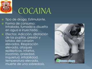  Tipo de droga: Estimulante. 
 Forma de consumo: 
Inhalada, fumada o disuelta 
en agua e inyectada. 
 Efectos: Adicción, dilatación 
de las pupilas, presión y 
latidos del corazón 
elevados. Respiración 
elevada, ataques 
epilépticos, infartos, 
insomnio, ansiedad, 
inquietud, irritabilidad, 
temperatura elevada, 
muerte de una sobredosis. 
 